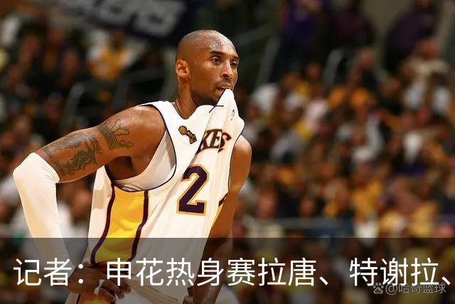 记者：申花热身赛拉唐、特谢拉、米内罗、刘诚宇没有出场